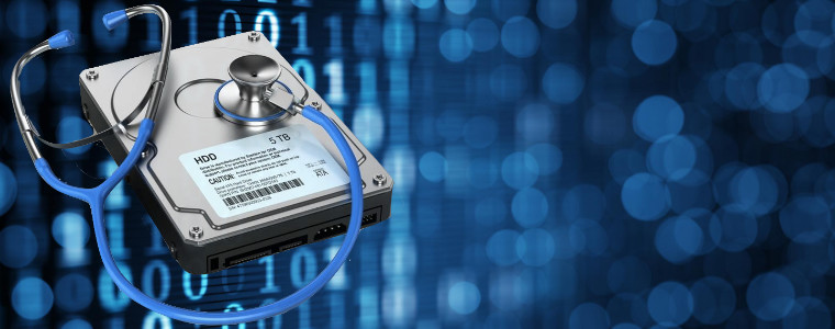 Screenshot der Hard Disk Sentinel-Sitzung mit Laufwerken und Überwachungsfeldern